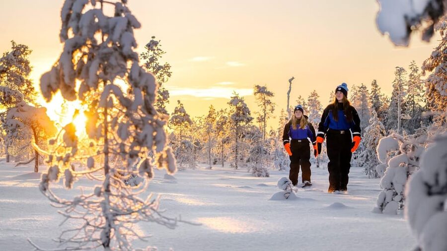 Kemi-Tornio: Nature tour with snowshoes - Gear Included for Winter Comfort, Not Just Convenience