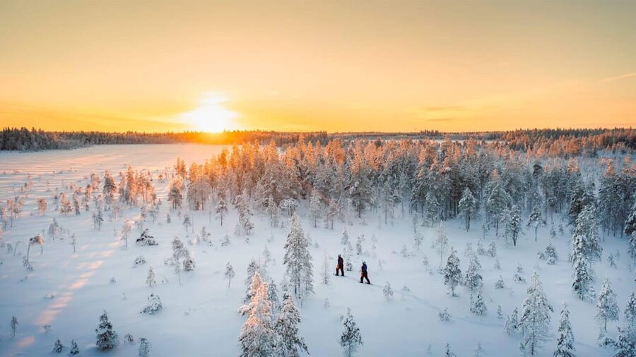 Kemi-Tornio: Nature tour with snowshoes - Where It Starts in Kemi: Sea Lapland Safaris Safari House