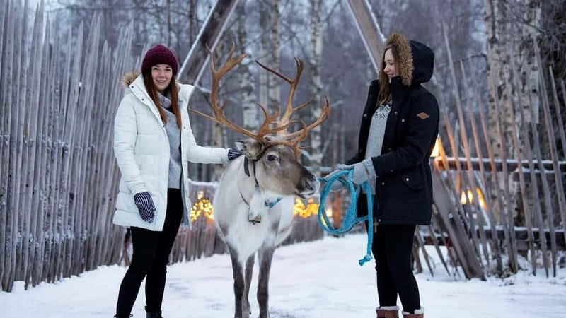 Kemi-Tornio: Reindeer farm experience - Winter clothing included, so you can focus on the reindeer