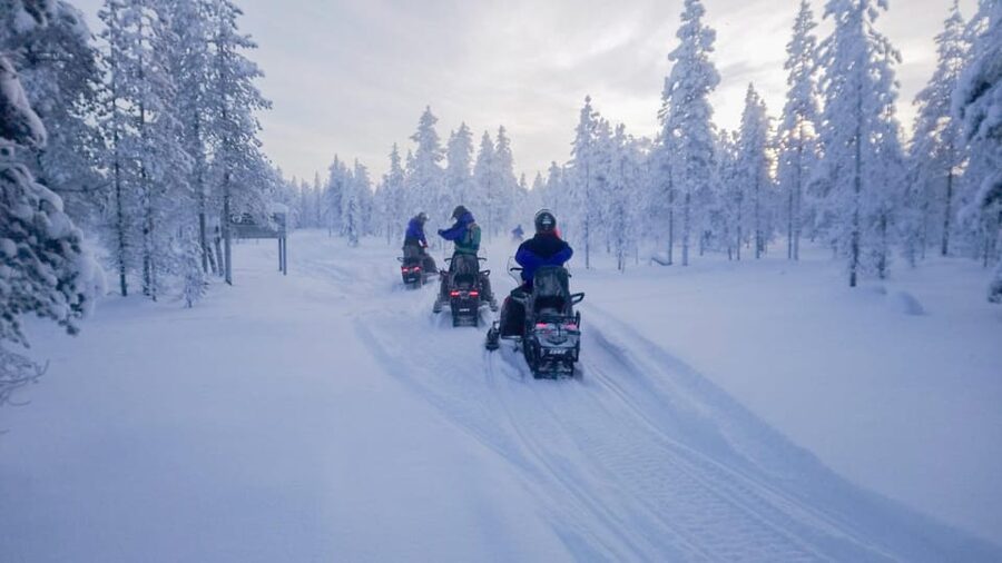 Kemi-Tornio: Snowmobile Forest Safari w/ Hot Drink & Snacks - Kemi-Tornio Snowmobile Safari, what the day actually feels like