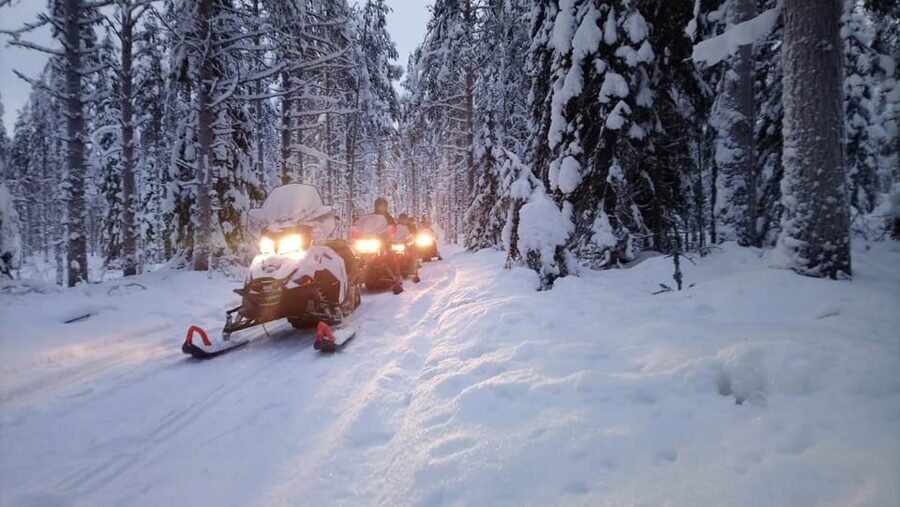 Kemi-Tornio: Snowmobile Forest Safari w/ Hot Drink & Snacks - Over the frozen Bothnian Bay, then into the forest