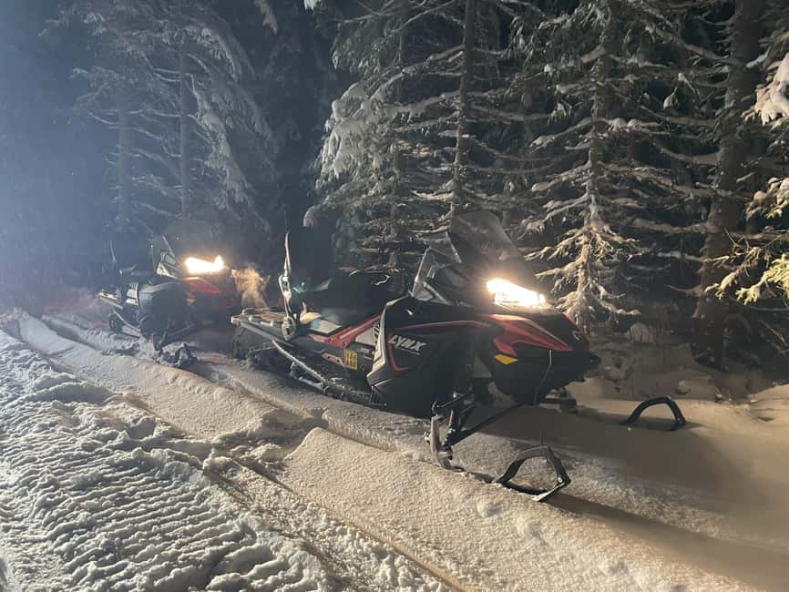 Kemi-Tornio: Snowmobile Safari Experience - What to Bring: The Winter Checklist That Prevents Miserable Moments