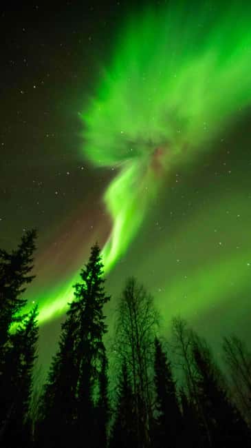 Kemijärvi: Insider Guided Aurora Hunting - How the Guide Targets the Best Aurora Viewing Spots