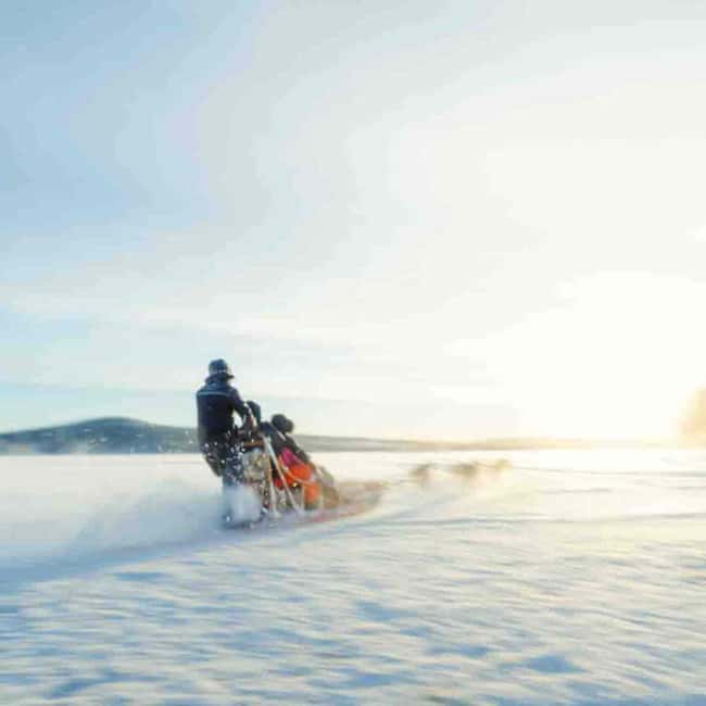 Kemijärvi: Insider Husky Self-Drive 5km Safari - Where the Day Starts in Kemijärvi: Academy Hotel or Jauri Resort