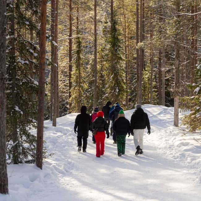 Kemijärvi: Insider Korouoma Frozen Waterfalls Hike - Key things I’d bet you’ll notice first