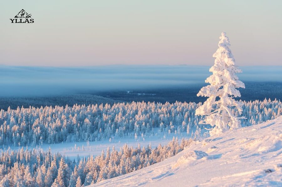 King of Ylläs: Snowmobiling to the Hill - Key highlights to know before you go