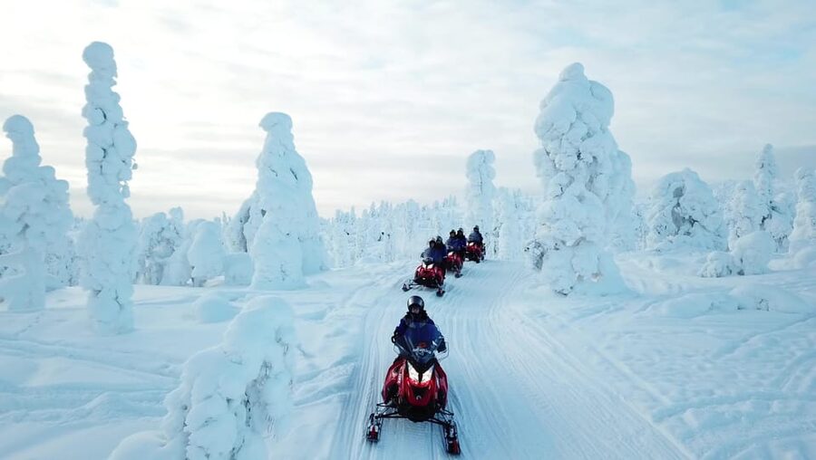King of Ylläs: Snowmobiling to the Hill - Price and value for $190 per person