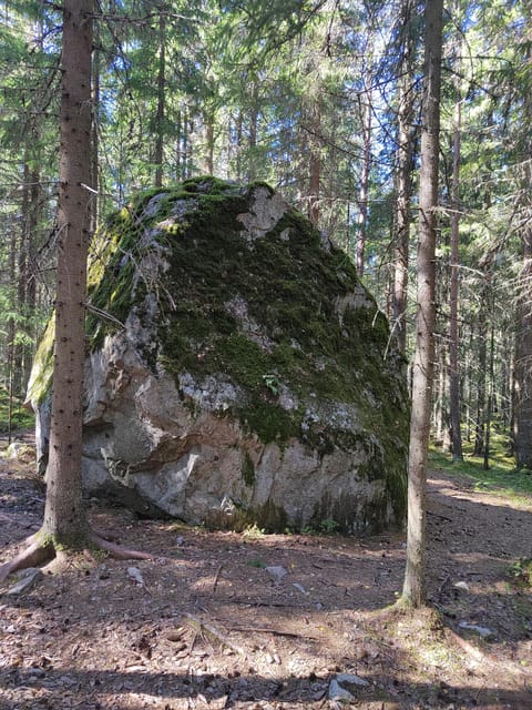 Kintulammi Nature Experience (Nature reserve near Tampere) - Best Time To Go, What You’ll See, And What To Expect From Wildlife