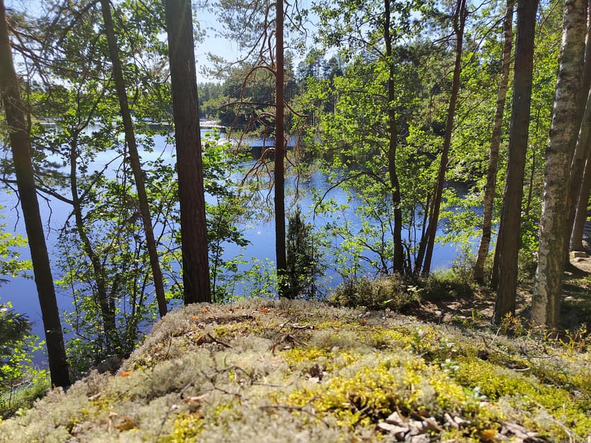 Kintulammi Nature Experience (Nature reserve near Tampere) - The Kota Arrival: Fire Cooking And Finnish Lunch
