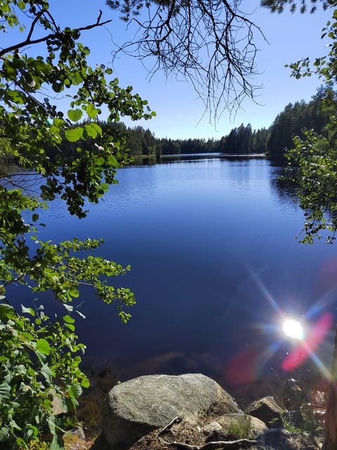Kintulammi Nature Experience (Nature reserve near Tampere) - Learning Real Nature, Plants, And Forest Types In English