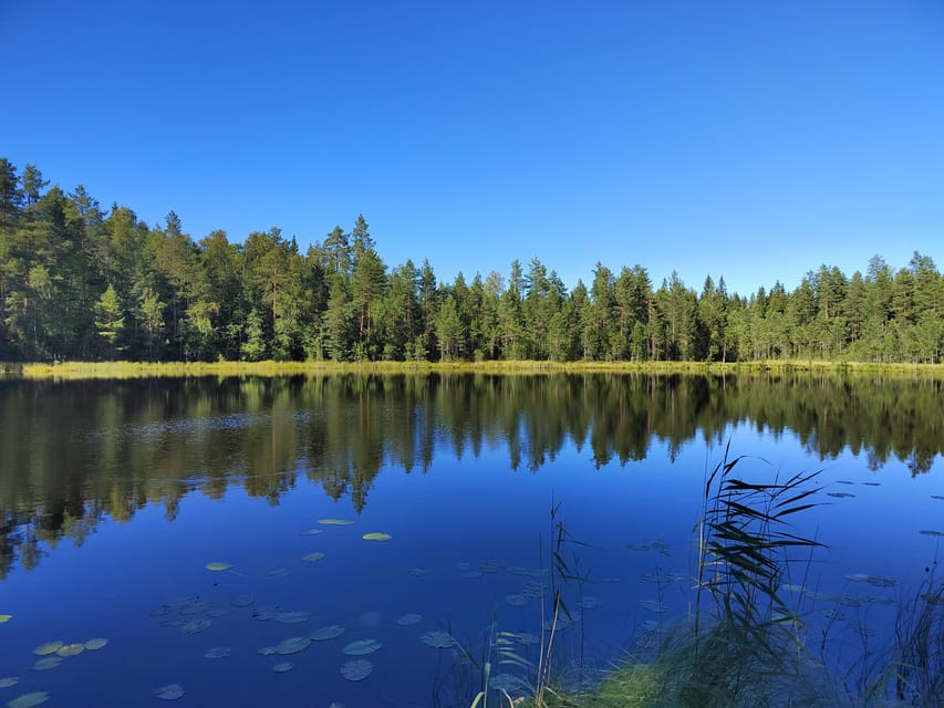 Kintulammi Nature Experience (Nature reserve near Tampere) - Pacing For All Fitness Levels, Including Wheelchair Users