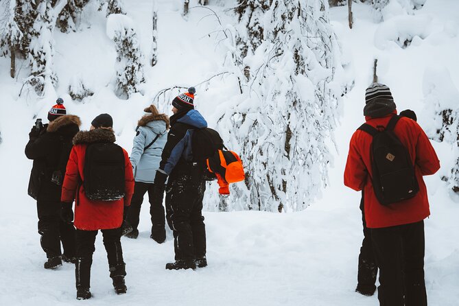 Korouoma Canyon Frozen Waterfalls - Small-group guiding in English: safety, stories, and real patience