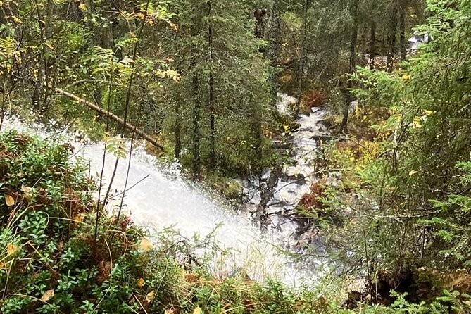 Korouoma Canyon: Frozen Waterfalls Hike & BBQ Experience - Group size, English-speaking tour, and mobile tickets