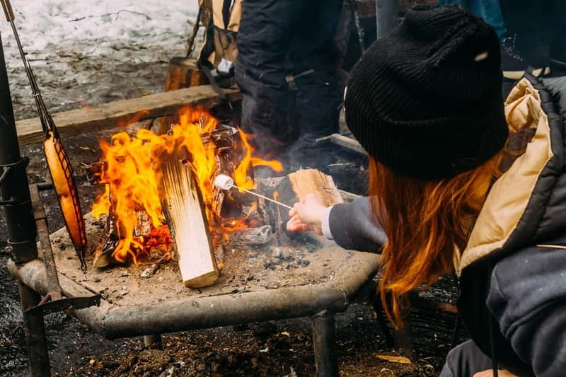 Korouoma Canyon: Frozen Waterfalls Hike & BBQ Experience - Price and value: what $121 buys you in winter Finland