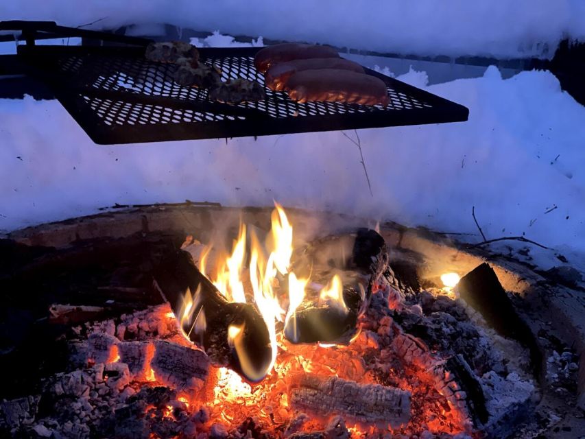 Korouoma Canyon Frozen Waterfalls Hike & Private Teepee BBQ - Who should book, and who should skip this walk