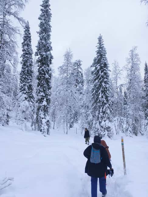 Korouoma Canyon Frozen Waterfalls Hike & Private Teepee BBQ - Climate-controlled van ride through Lapland winter