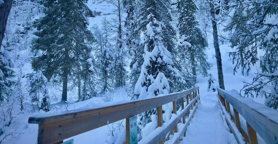 Korouoma: Frozen Waterfall Hiking Tour - The hike setup: snow grips, hot drinks, and a clear safety mindset