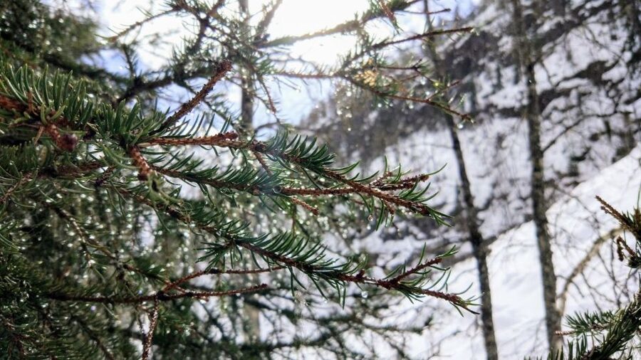 Korouoma National Park Guided Hike with Snacks - What to bring (and what not to): small rules that matter in Lapland
