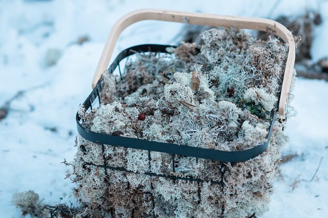 Kuoksa Reindeer Adventure - Pickup and Mobile Ticket: Simple Tech, Less Hassle