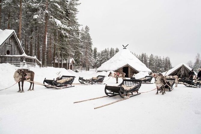 Kuoksa Reindeer Farm Visit with a Short Sleigh Ride - Key Highlights Before You Go