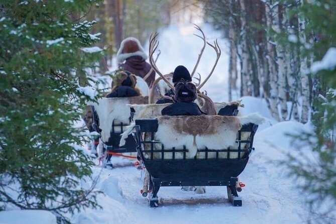 Kuoksa Reindeer Farm Visit with a Short Sleigh Ride - Kuoksa Reindeer Farm, Where the Focus Is Daily Herding