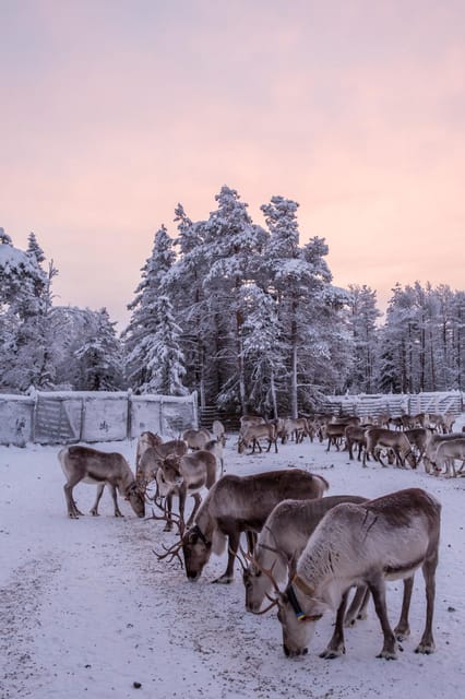 Kuusamo: Reindeer Farm Visit - Handicrafts workshop and boutique, souvenirs that feel Finnish