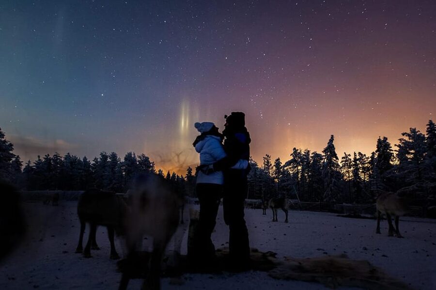 Kuusamo: Reindeer Farm Visit - The ancient corral feeding, what makes it special