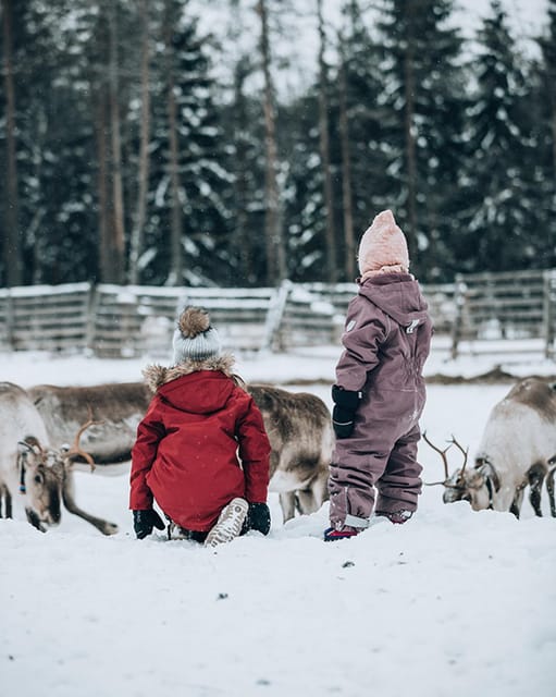 Kuusamo: Reindeer Sleigh Ride and Farm Visit - Ancient corral time: feeding reindeer with lichen up close