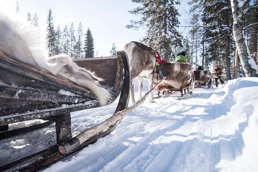 Kuusamo: Reindeer Sleigh Ride in Kujalan Porotila - What you’ll notice once the sleigh starts moving