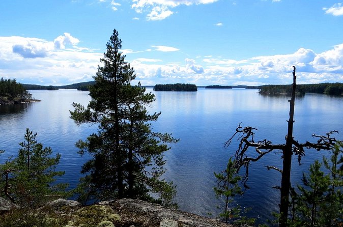 Lake Saimaa Small-Group Cruise with Stories and Music - Who This Saimaa Cruise Is Best For