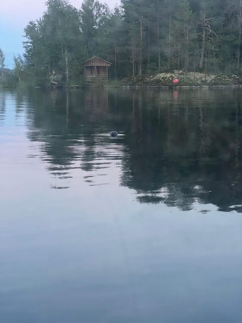 Lake Saimaa story cruise by Ecoboat in Puumala - Why a 90-Minute Lake Saimaa Cruise Works So Well