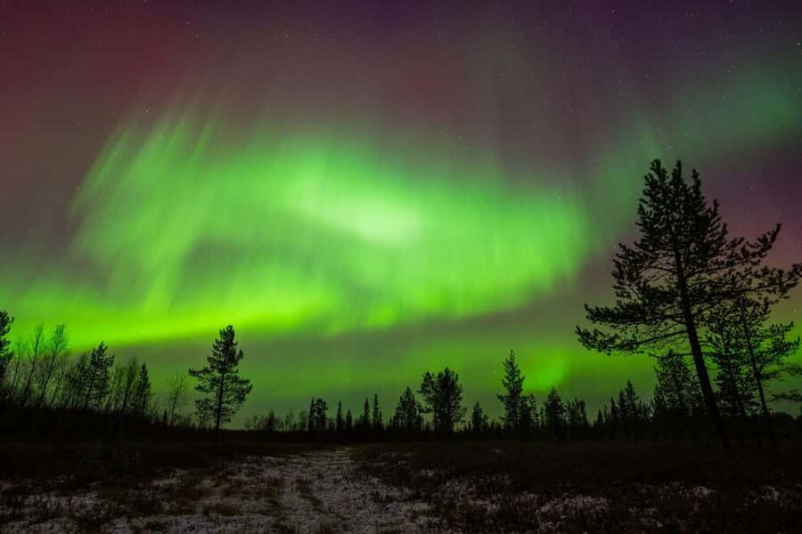 Lapland: Aurora Hunting by Minivan with Guide and Transport - Pickup and driving: Ivalo, Inari, and Saariselkä in one night