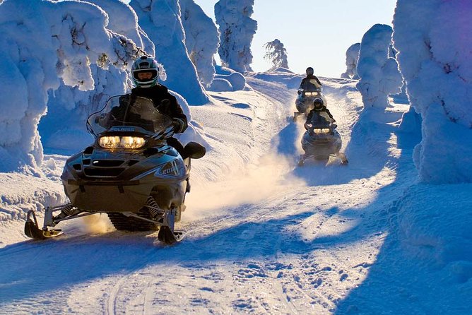 Lapland Family Snowmobile Safari from Rovaniemi - Price and Value: What You’re Paying For (and What You Should Check)
