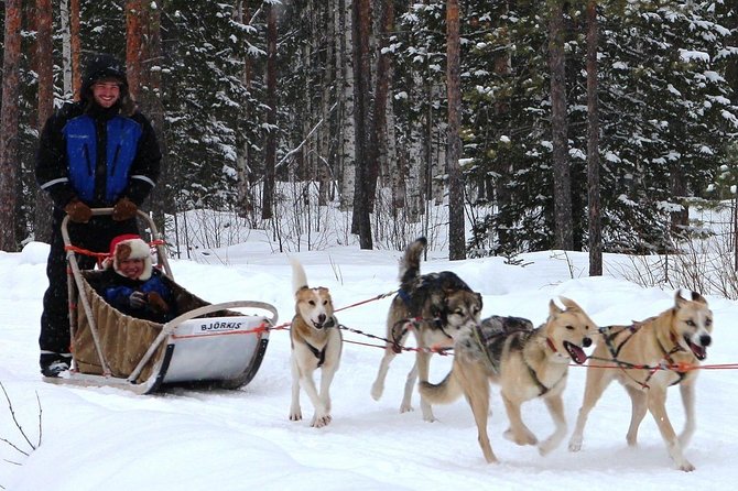 Lapland Husky Safari from Saariselkä - Who this husky safari is best for