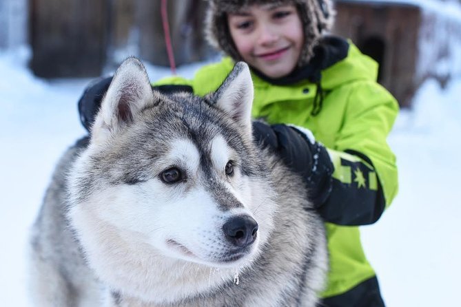 Lapland Husky Safari from Saariselkä - Stop 1 at Saariselka Ski & Sport Resort: your Klondike-style drive