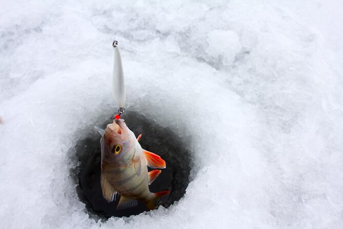 Lapland Ice Fishing Experience from Rovaniemi - Walking the Arctic Forest, Snowshoes If Conditions Allow