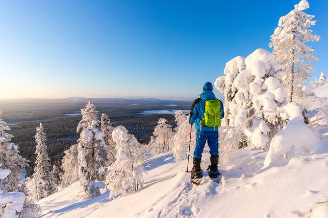 Lapland Ice Fishing Experience from Rovaniemi - Price and Value: What $119.09 Buys You in Rovaniemi