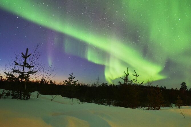 Lapland In A Day - Reindeer, Sledding, Snowmobile & Nature - Snowmobile-pulled sleds: comfort first, then speed
