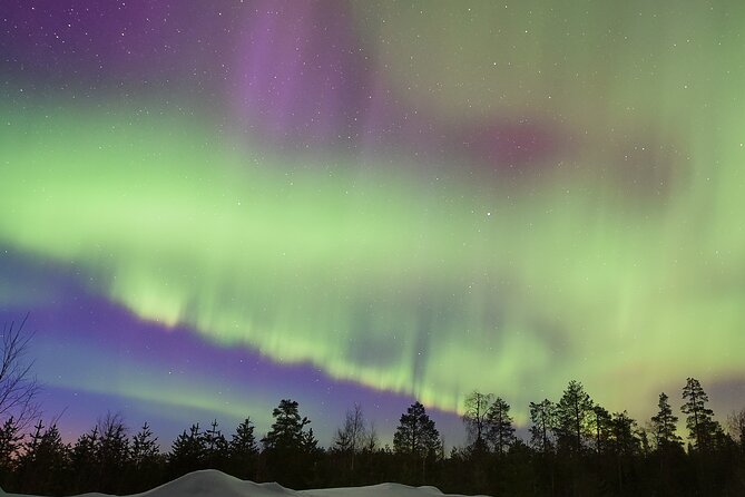 Lapland In A Day - Reindeer, Sledding, Snowmobile & Nature - Lantern-lit forest trail: the calm contrast
