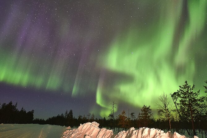 Lapland In A Day - Reindeer, Sledding, Snowmobile & Nature - Northern Lights chances: when weather cooperates