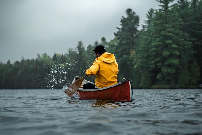 Lapland Kayak Adventure in Rovaniemi - Lapland on the Water: What a 2.5-Hour Paddle Really Gives You