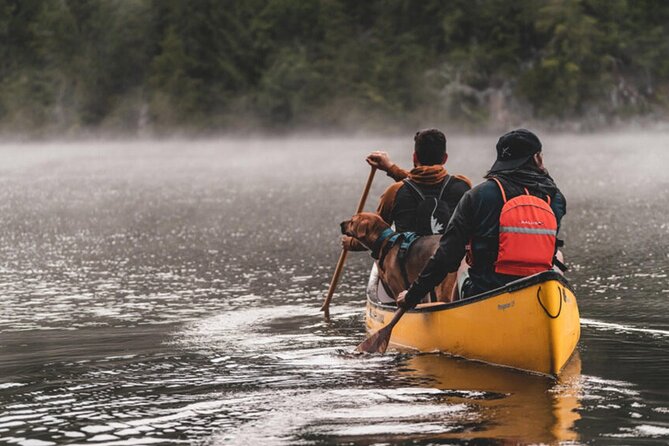 Lapland Kayak Adventure in Rovaniemi - Paddling Route Highlights: Break Stops, Wildlife Watching, and Possible Swims