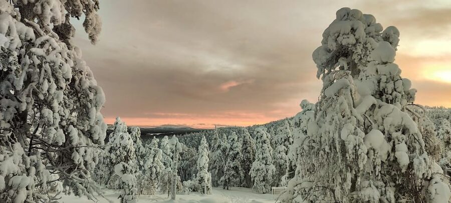 Lapland: Private Snowmobile Safari with arctic Local Guide - Key things that make this tour work