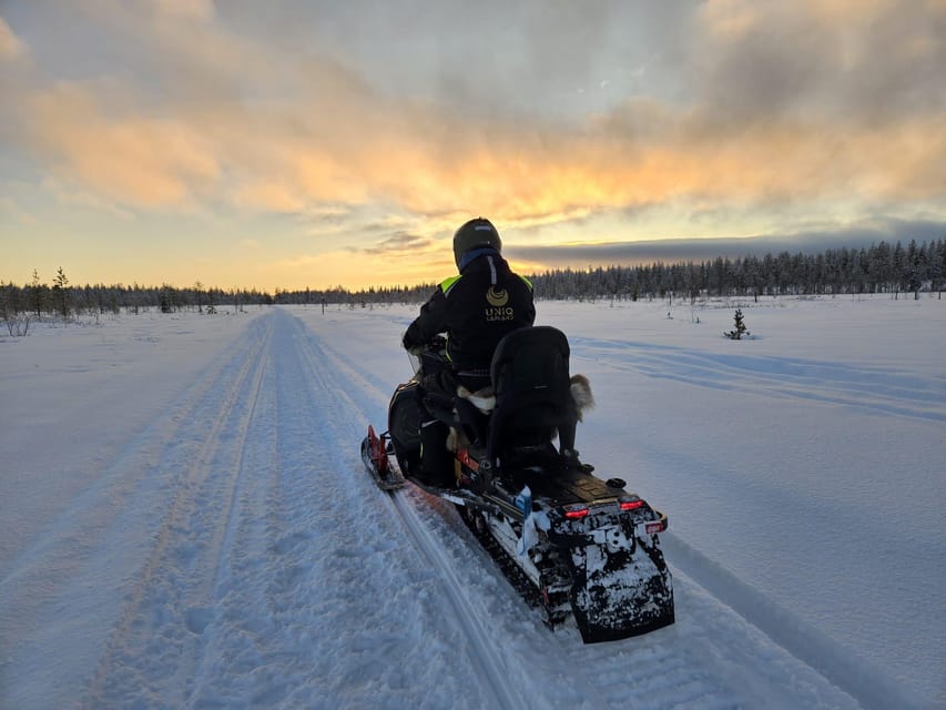 Lapland: Private Snowmobile Safari with arctic Local Guide - Price and value: where your money actually goes