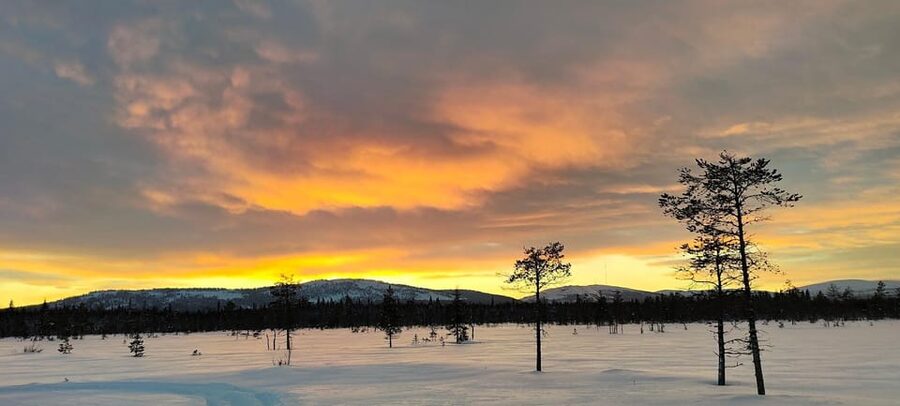 Lapland: Private Snowmobile Safari with arctic Local Guide - The private group setup: up to 5, and how the snowmobile sharing works
