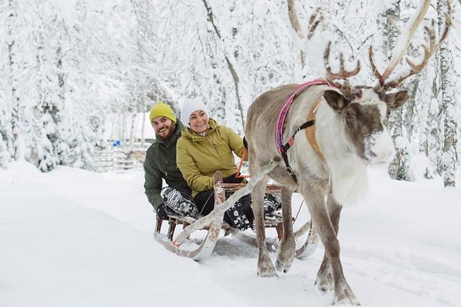 Lapland Reindeer and Husky Safari from Levi - The husky part: driving your own sled for about 2 km