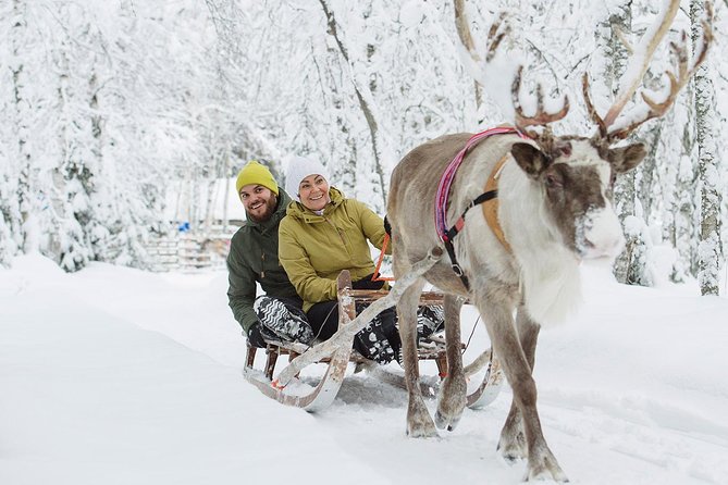 Lapland Reindeer and Husky Safari from Rovaniemi - Husky Stop: Petting and Hugging, Then a 2km Sled Ride
