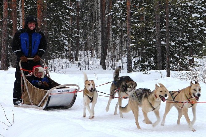 Lapland Reindeer and Husky Safari from Rovaniemi - Guides Make or Break It: What to Expect From Your Hosts