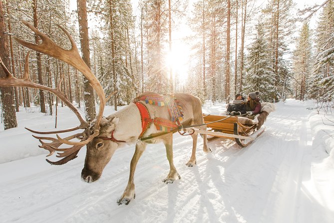 Lapland Reindeer Safari from Rovaniemi - Why a Lapland reindeer safari from Rovaniemi feels different