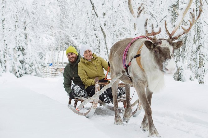 Lapland Reindeer Safari from Rovaniemi - Hotel pickup and the 3:00 pm start: how the day runs